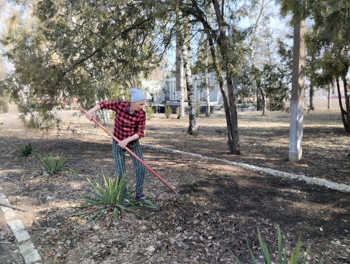 photo 19 03 2025 02